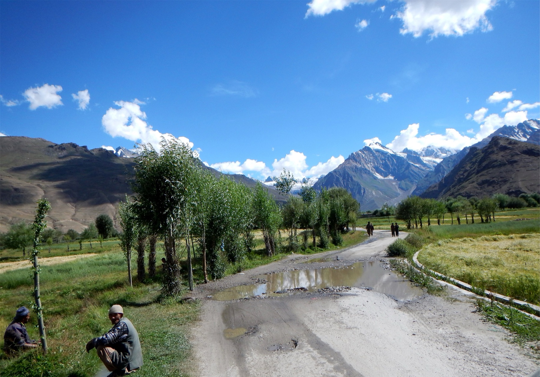 A road through the fields and poplars of the Suru valley, with snow peaks behind · Photo: Kashmir photographer, CC BY-SA 4.0, via Wikimedia Commons