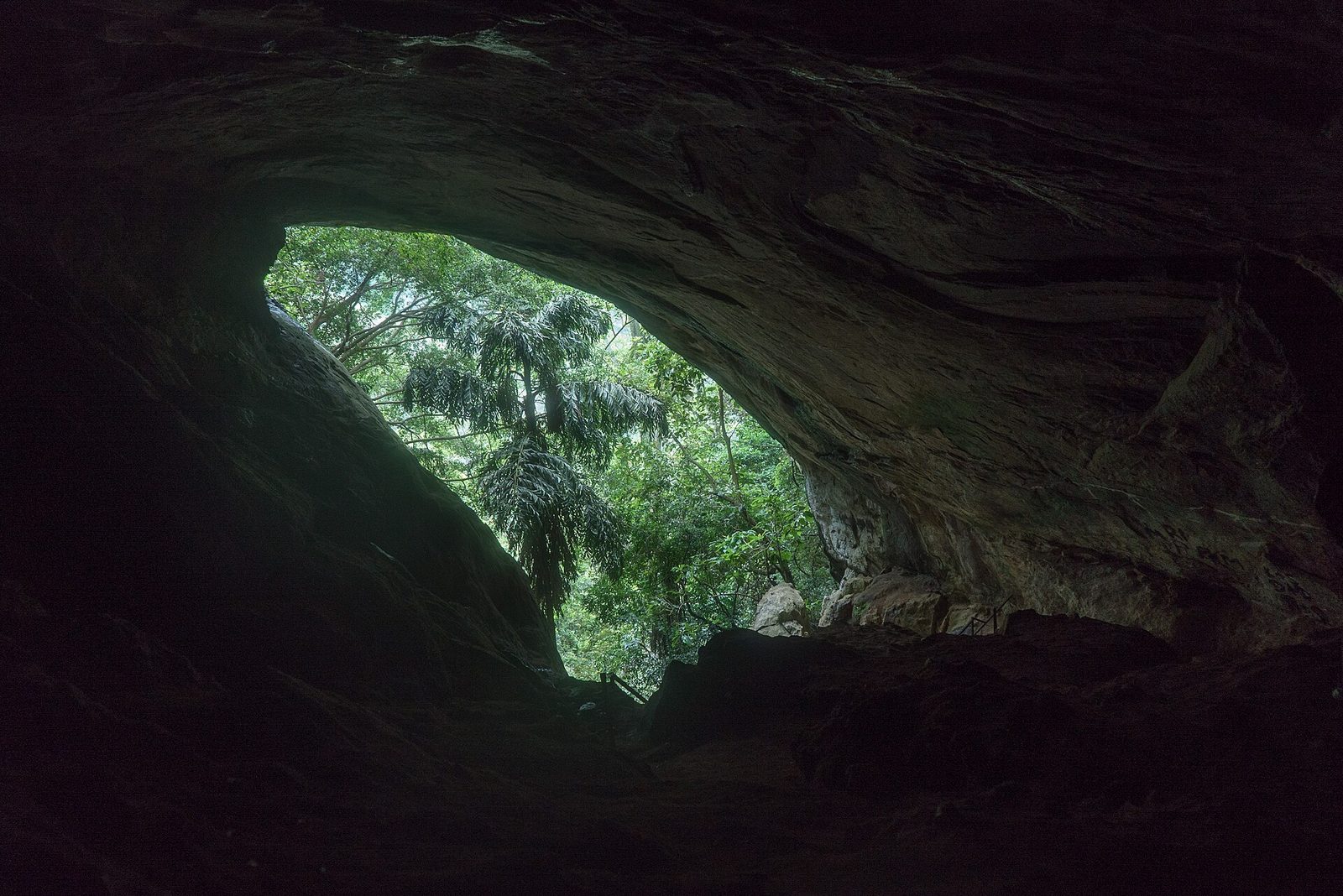 Inside Ravana Cave above Ella, looking out through the cave mouth to the forest · Photo: Alexey Komarov, CC BY-SA 4.0, via Wikimedia Commons